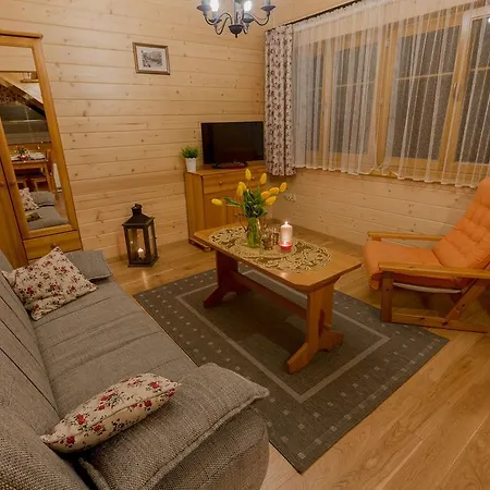 Koscieliska 10a 아파트 자코파네